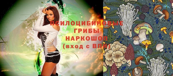 а пвп мука Вяземский
