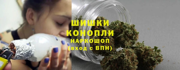 индика Володарск