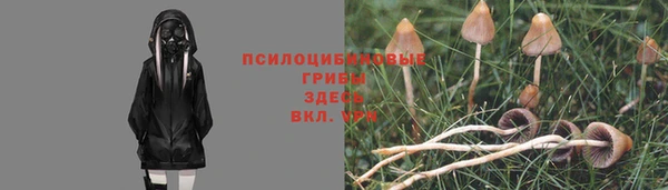 прущая мука Горняк