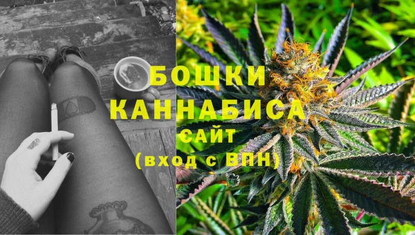 индика Володарск