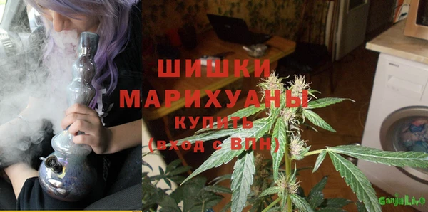 индика Володарск