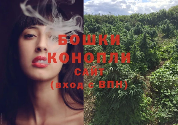 сатива Горнозаводск